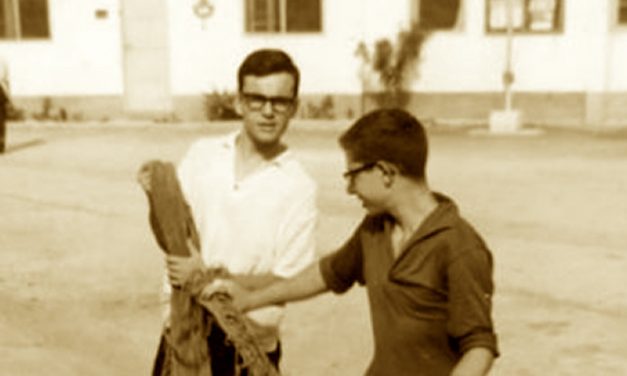 Soci in affari : Come le bische clandestine si sono formate a scuola