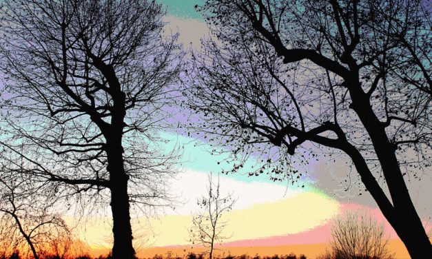 Riparare il riparabile…