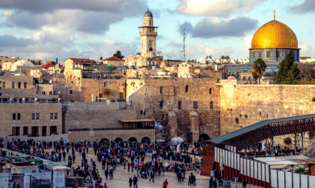 Situazione COVID-19 in Israele e in Palestina