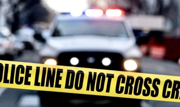 Una Maestra, un bimbo di sei anni ed una pistola…