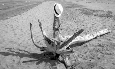 La visione è tutta la ricompensa