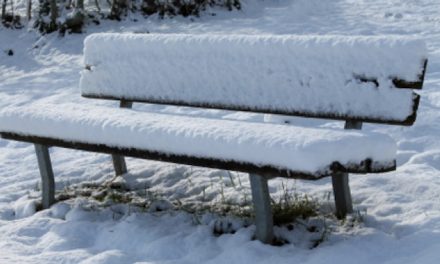 POESIA DEL MESE :: Per vedere se esista un saggio