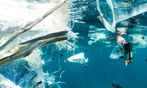 Microplastiche rilevate nel sangue umano, nel latte materno e nella placenta