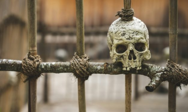 Nuovi Pirati al giorno d’oggi !!!