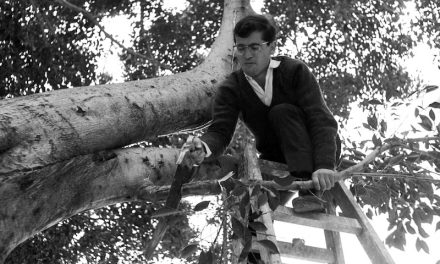 Speedy Gonzalez con accento sardo